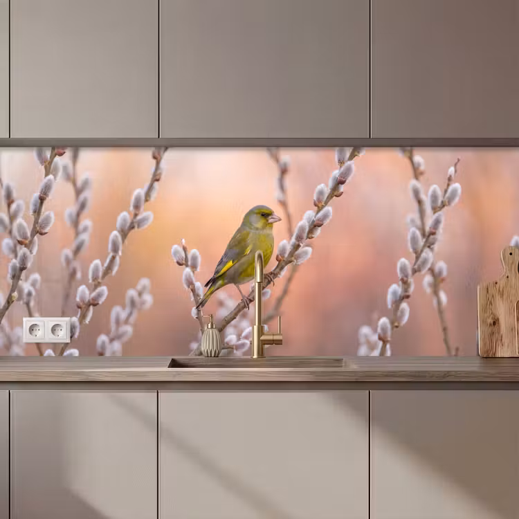 Schienale cucina - Verdone - Gatti - Primavera - Natura - Morbido — 1