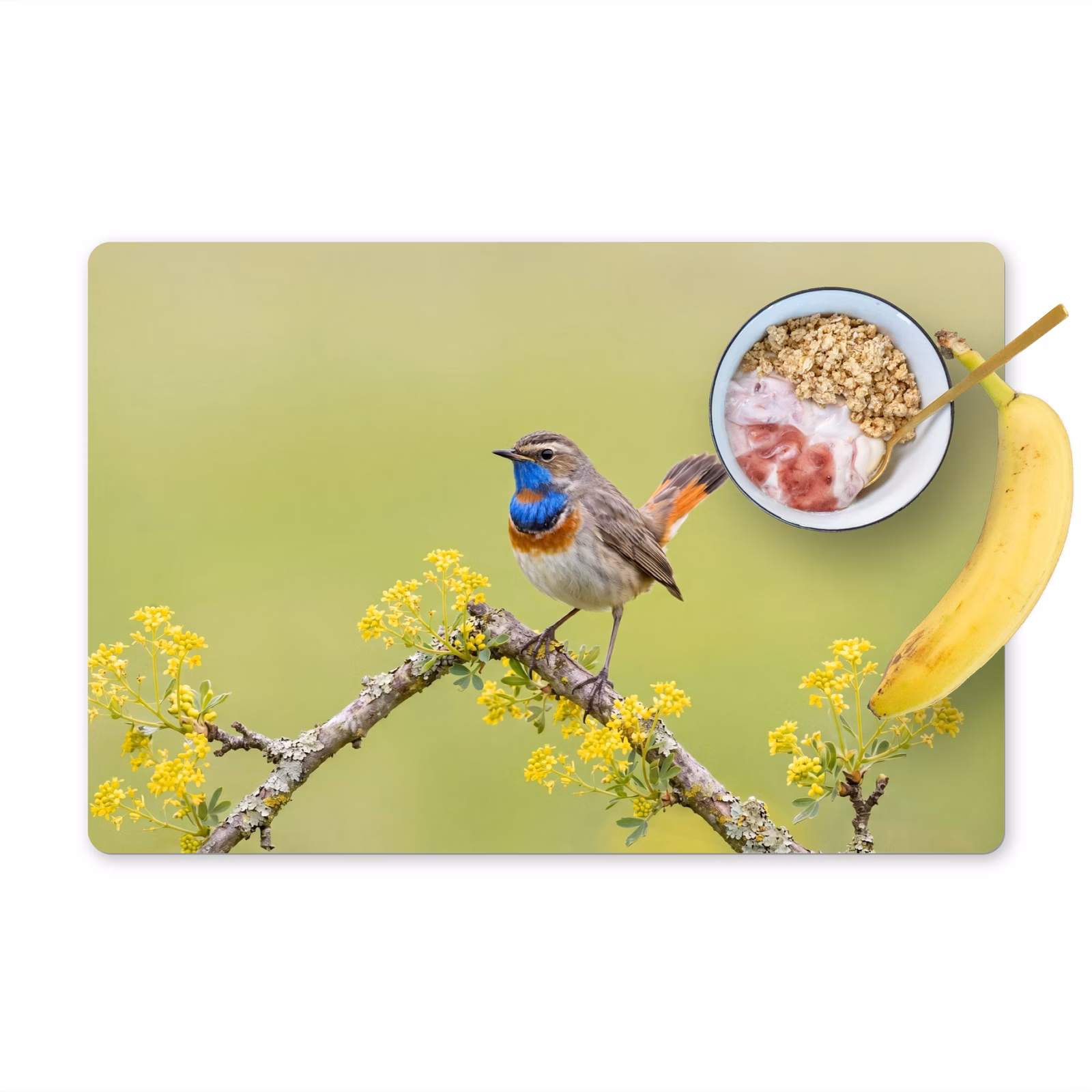 Tovaglietta – 6 pezzi - Uccello - Ramo - Natura - Colorato — 1