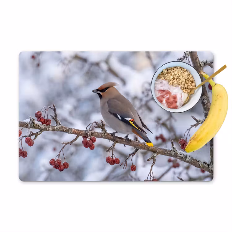 Tovaglietta – 6 pezzi - Ghiro - Bacche - Inverno - Natura — 1