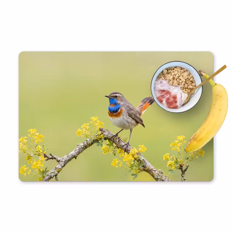 Tovaglietta – 6 pezzi - Uccello - Ramo - Natura - Colorato — 1