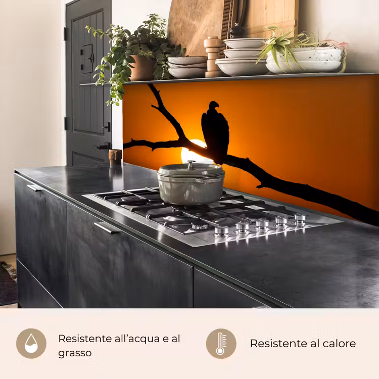 Schienale cucina - Avvoltoio - Ramo - Sole - Arancione — 5