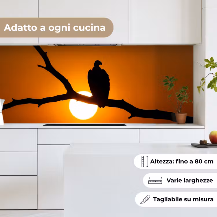 Schienale cucina - Avvoltoio - Ramo - Sole - Arancione — 7