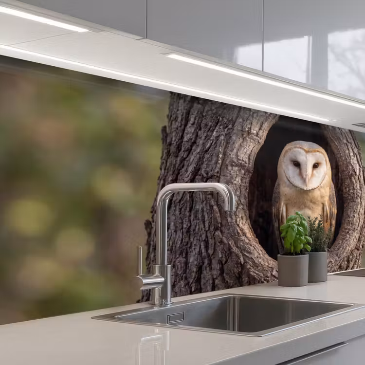 Schienale cucina - Barbagianni - Albero - Natura - Marrone — 2