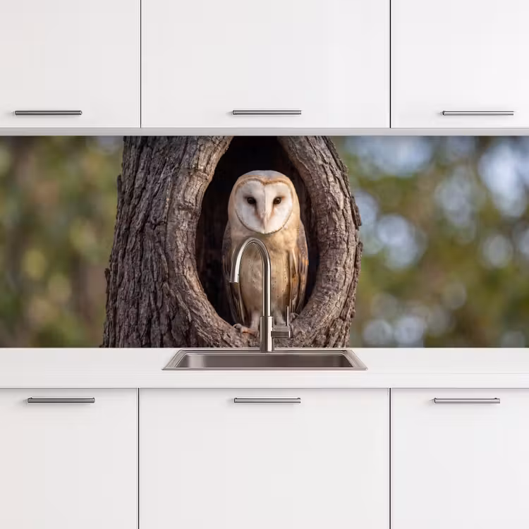 Schienale cucina - Barbagianni - Albero - Natura - Marrone — 4