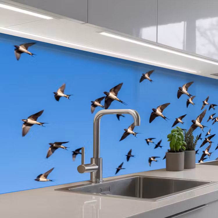 Schienale cucina - Rondini - Mosche - Blu — 2