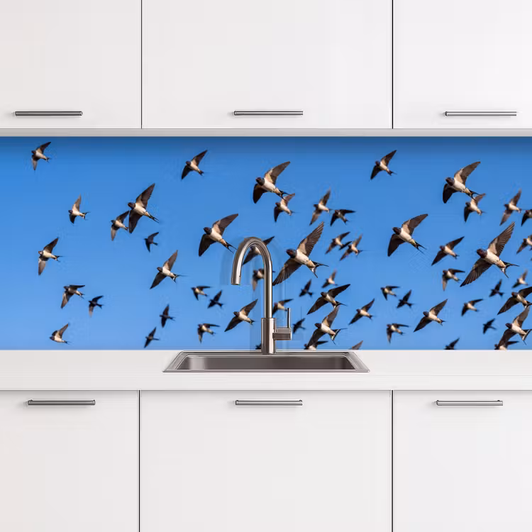 Schienale cucina - Rondini - Mosche - Blu — 4