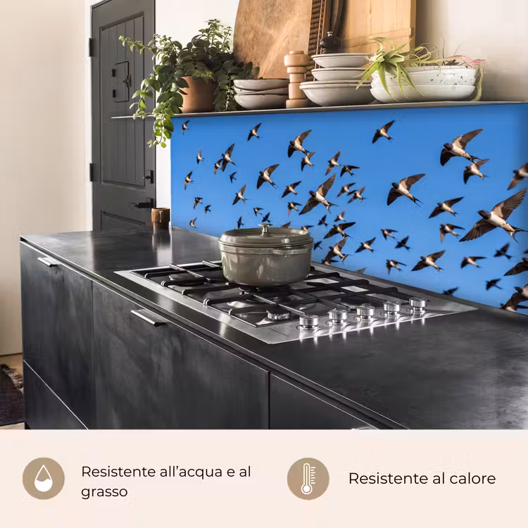 Schienale cucina - Rondini - Mosche - Blu — 5