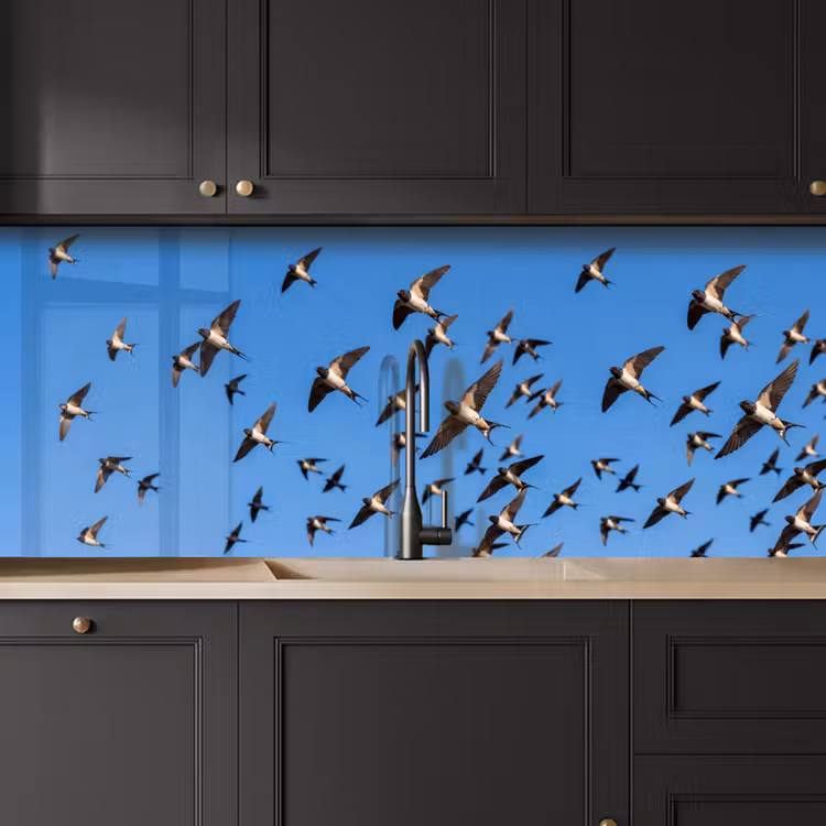 Schienale cucina - Rondini - Mosche - Blu — 6