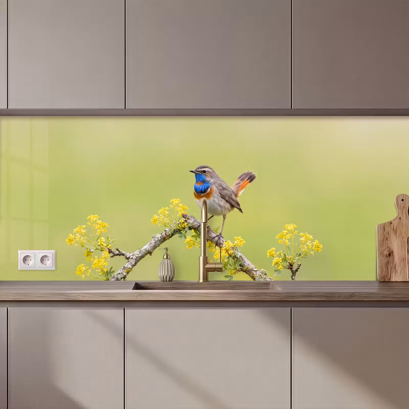Schienale cucina - Uccello - Ramo - Natura - Colorato — 1
