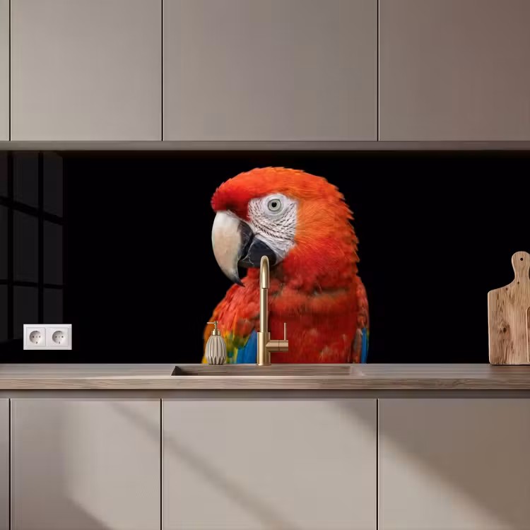 Schienale cucina - Ara - Ritratto - Rosso — 1