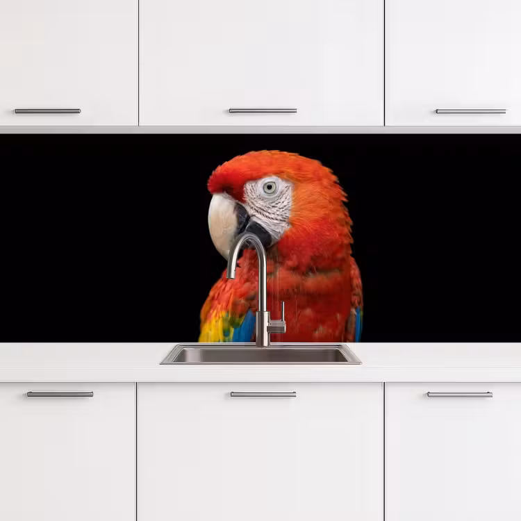 Schienale cucina - Ara - Ritratto - Rosso — 4