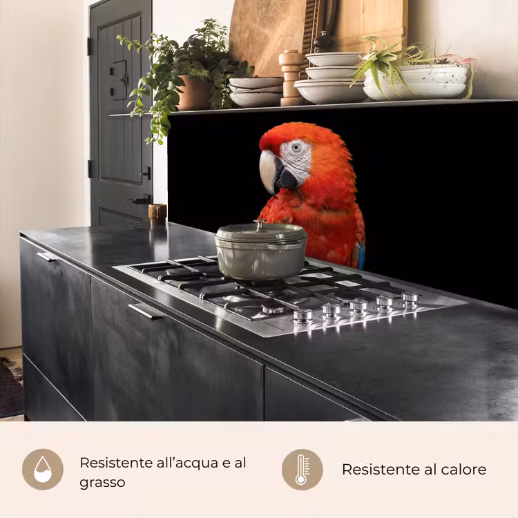 Schienale cucina - Ara - Ritratto - Rosso — 5