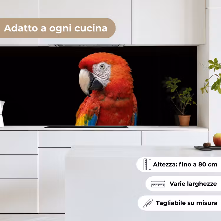 Schienale cucina - Ara - Ritratto - Rosso — 7