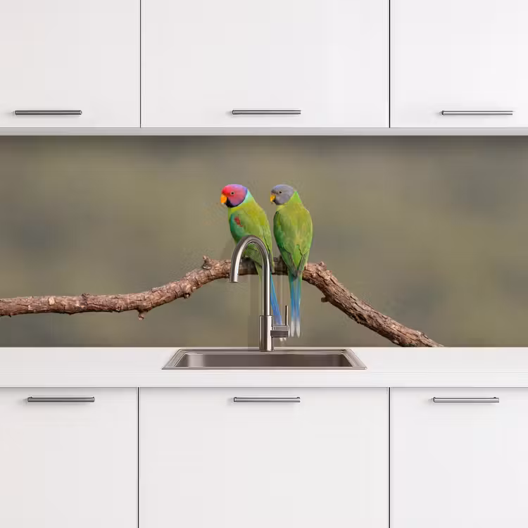 Schienale cucina - Pappagallo - Ramo - Natura - Colorato — 4