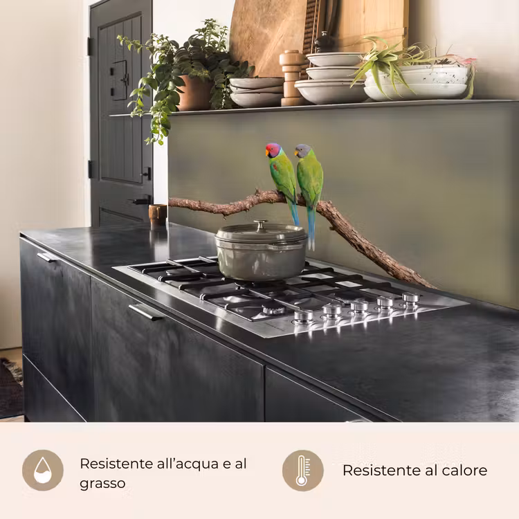 Schienale cucina - Pappagallo - Ramo - Natura - Colorato — 5
