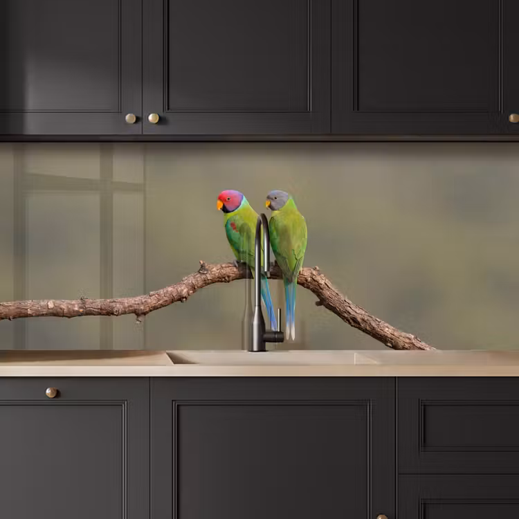 Schienale cucina - Pappagallo - Ramo - Natura - Colorato — 6