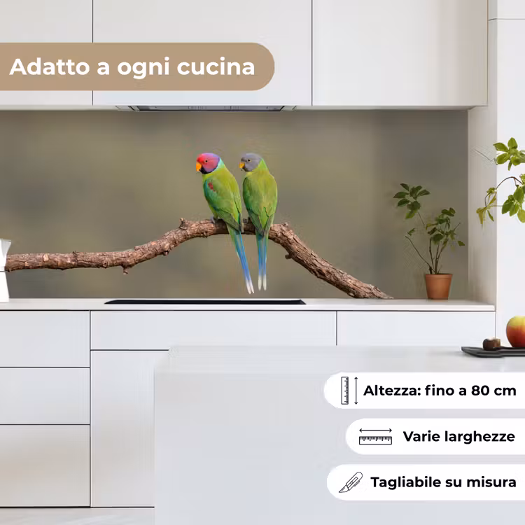 Schienale cucina - Pappagallo - Ramo - Natura - Colorato — 7
