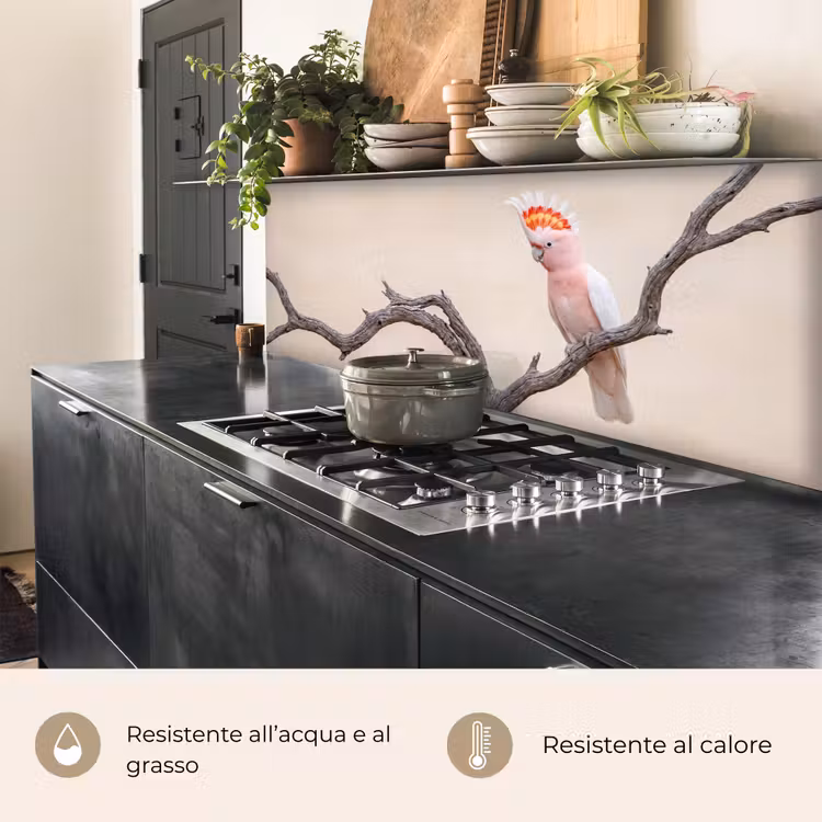 Schienale cucina - Pappagallo - Ramo - Rosa — 5