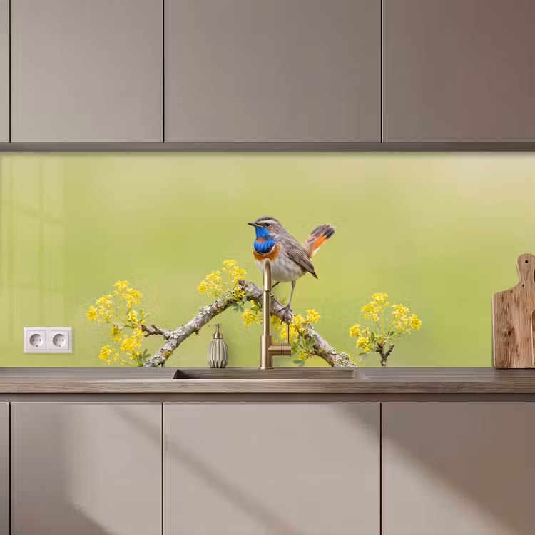 Schienale cucina - Uccello - Ramo - Natura - Colorato — 1