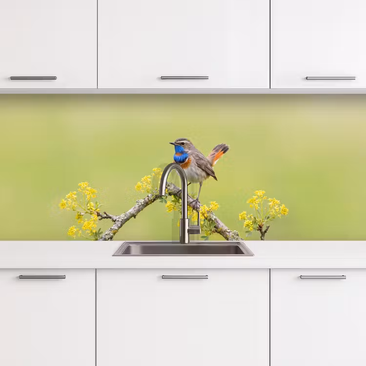 Schienale cucina - Uccello - Ramo - Natura - Colorato — 4