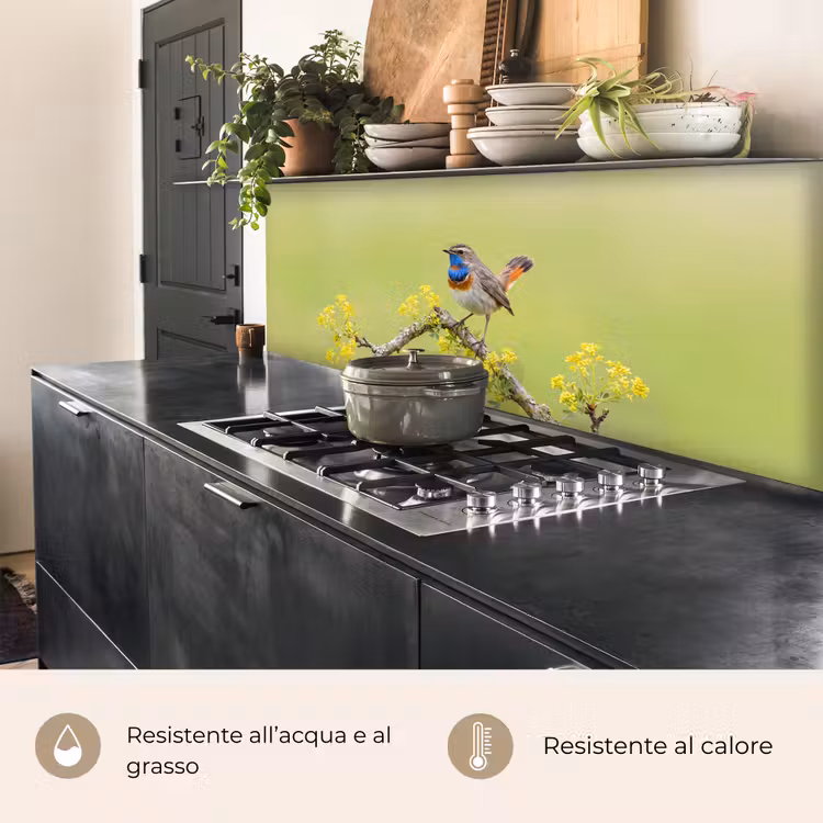 Schienale cucina - Uccello - Ramo - Natura - Colorato — 5