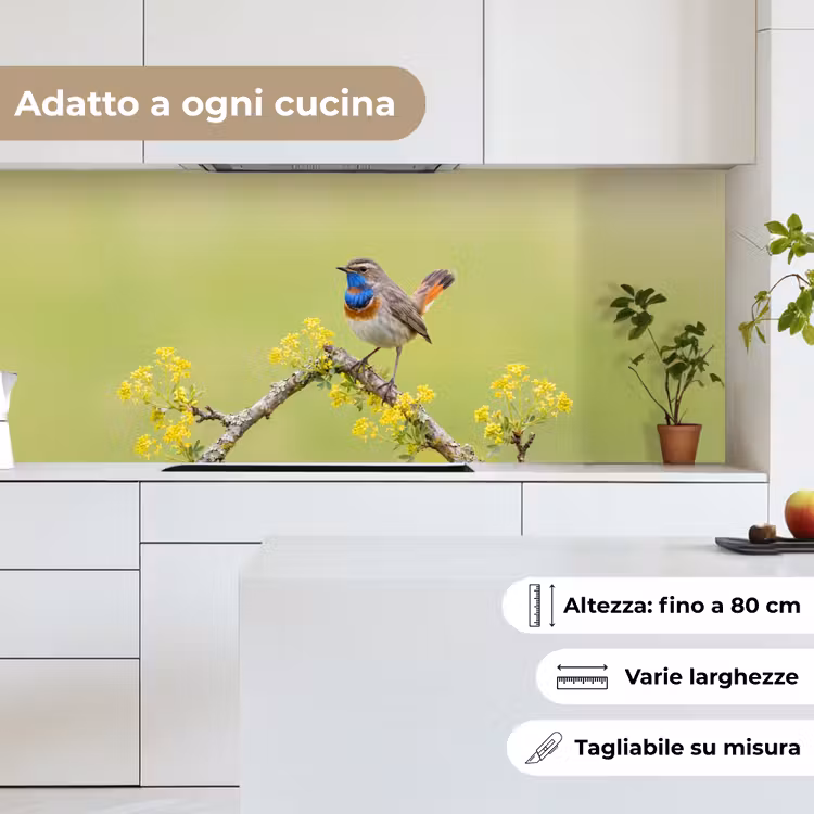 Schienale cucina - Uccello - Ramo - Natura - Colorato — 7