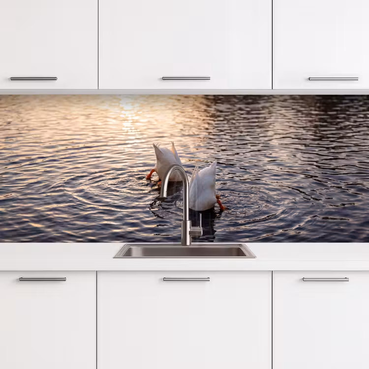 Schienale cucina - Anatre - Acqua - Natura — 4