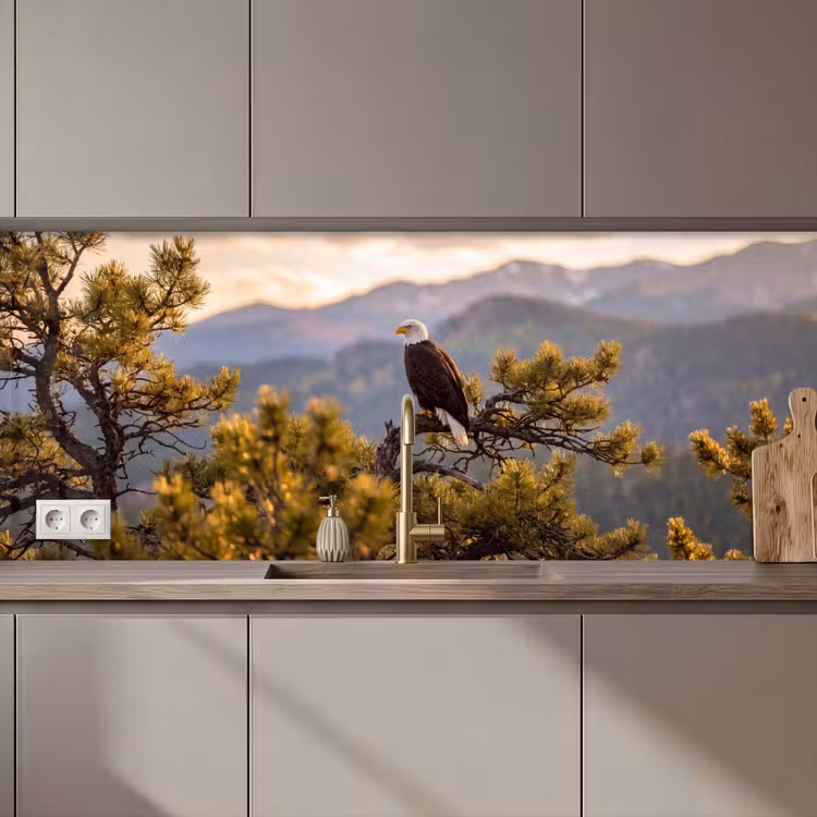 Schienale cucina - Aquila calva - Albero - Montagna - Verde — 1