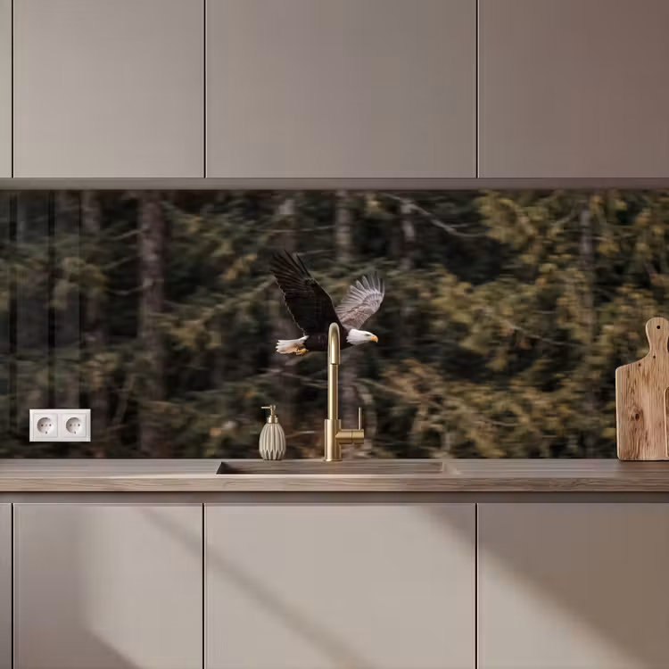 Schienale cucina - Aquila calva - Volo - Foresta - Natura — 1