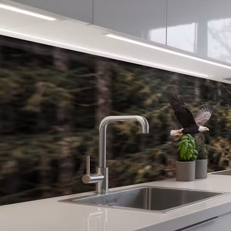 Schienale cucina - Aquila calva - Volo - Foresta - Natura — 2