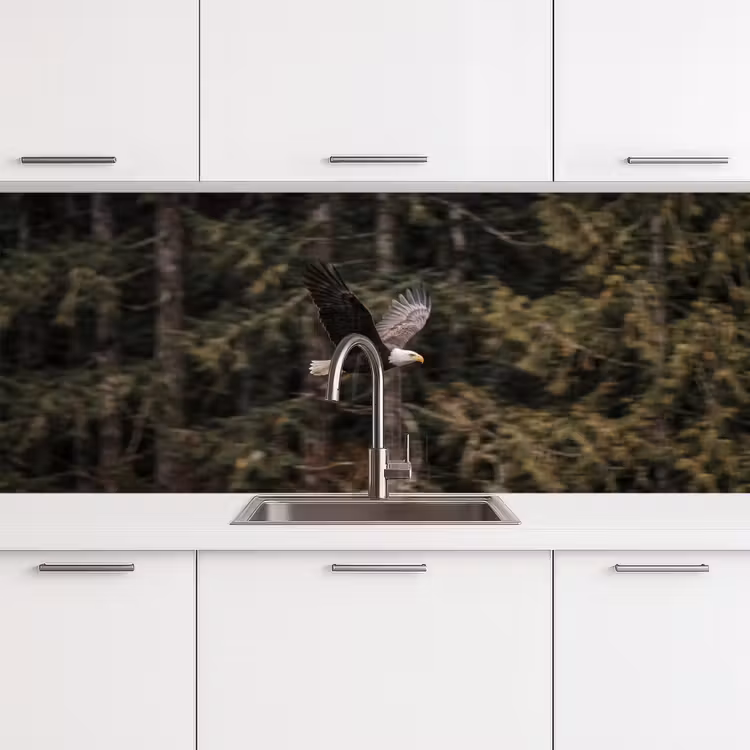 Schienale cucina - Aquila calva - Volo - Foresta - Natura — 4