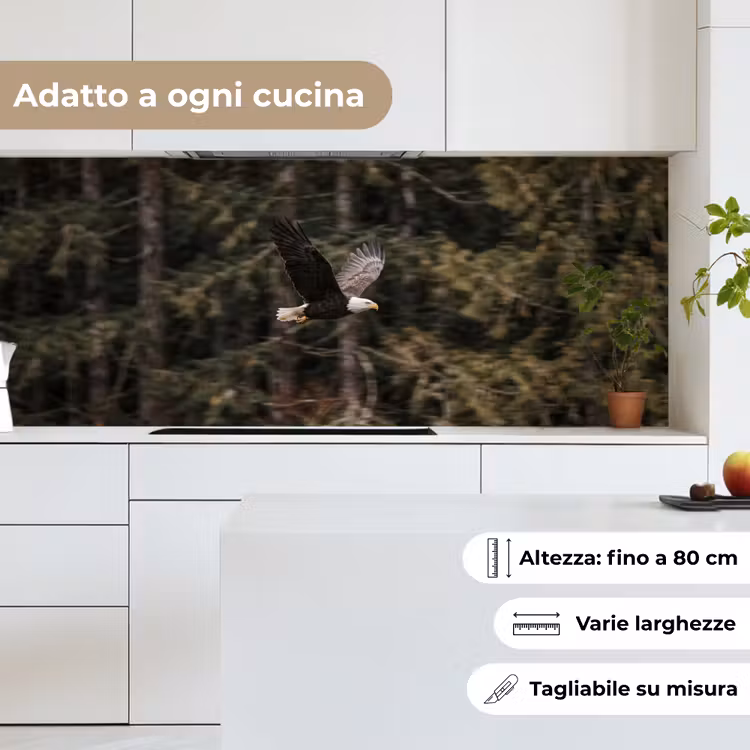 Schienale cucina - Aquila calva - Volo - Foresta - Natura — 7