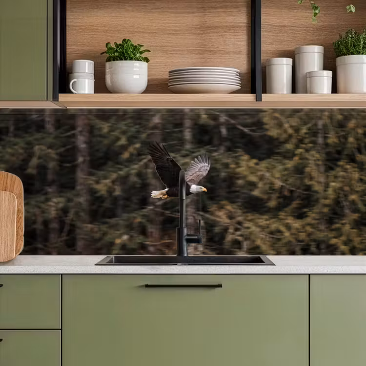 Schienale cucina - Aquila calva - Volo - Foresta - Natura — 8