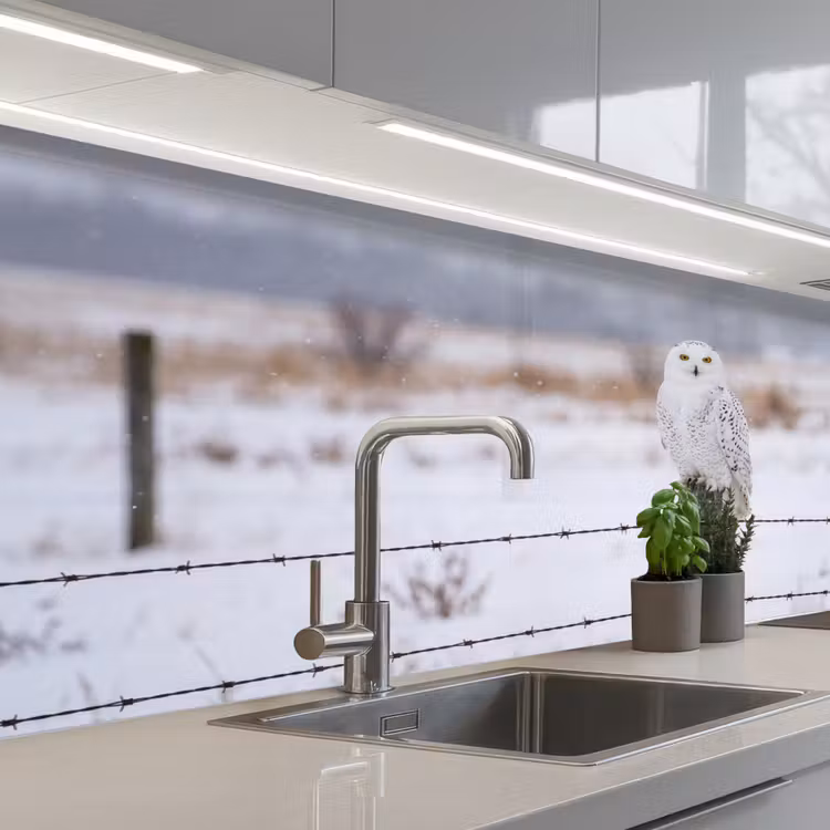 Schienale cucina - Gufo delle nevi - Recinto - Neve - Bianco — 2