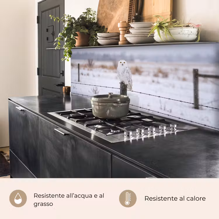 Schienale cucina - Gufo delle nevi - Recinto - Neve - Bianco — 5