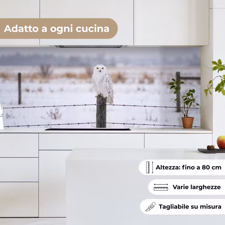 Schienale cucina - Gufo delle nevi - Recinto - Neve - Bianco — 7