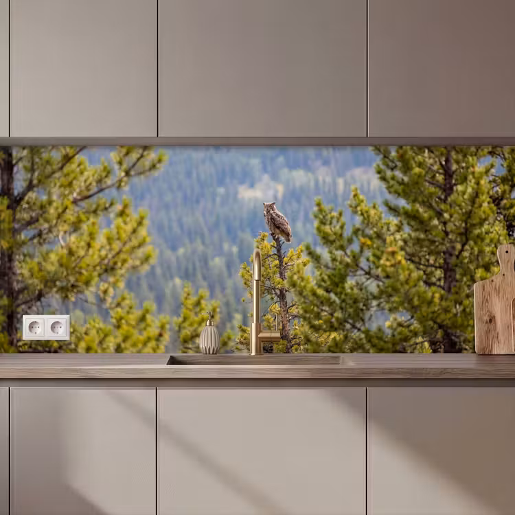 Schienale cucina - Gufo - Gufo reale - Alberi - Natura — 1