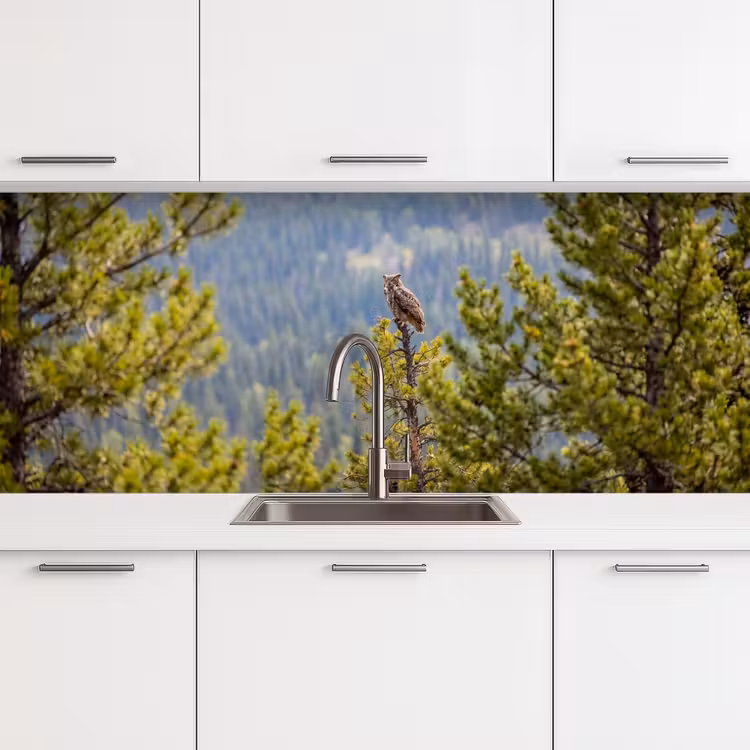 Schienale cucina - Gufo - Gufo reale - Alberi - Natura — 4