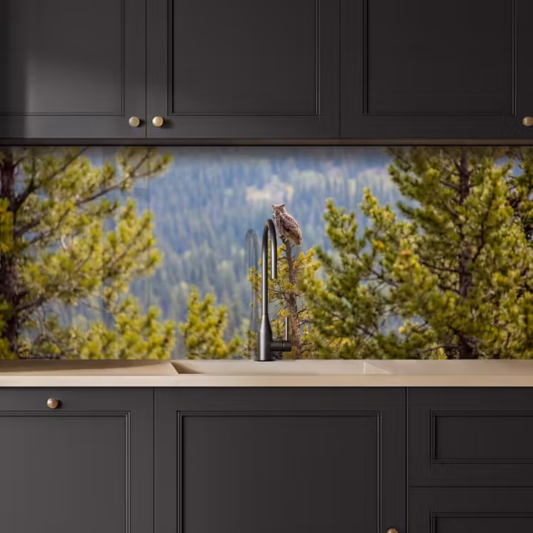 Schienale cucina - Gufo - Gufo reale - Alberi - Natura — 6