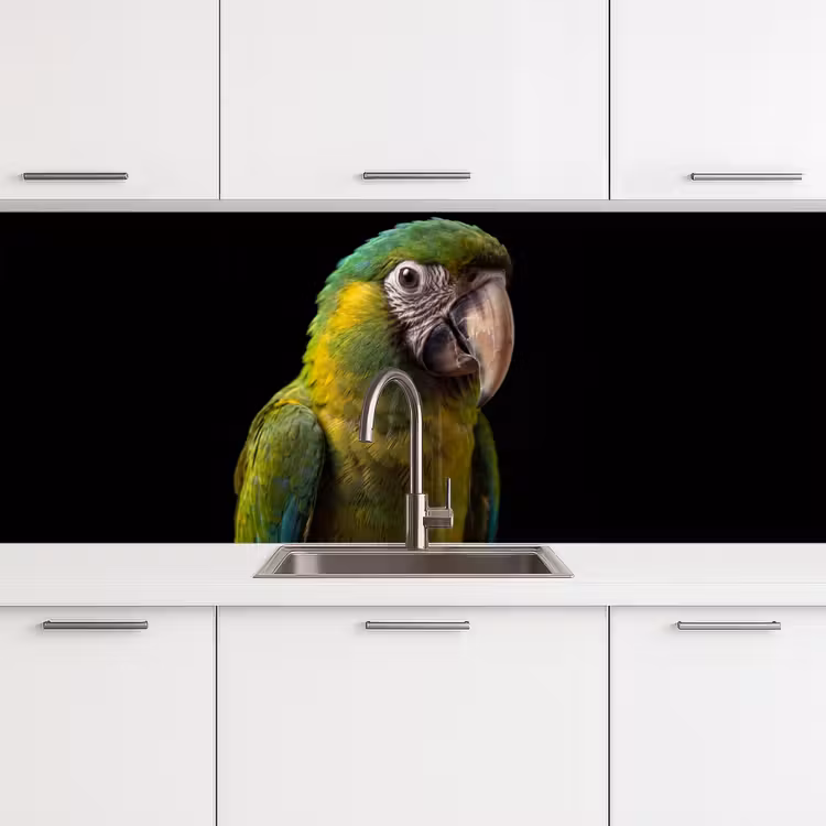 Schienale cucina - Ara - Ritratto - Verde — 4