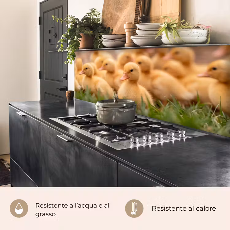 Schienale cucina - Freccia - Anatra - Natura - Giallo — 5