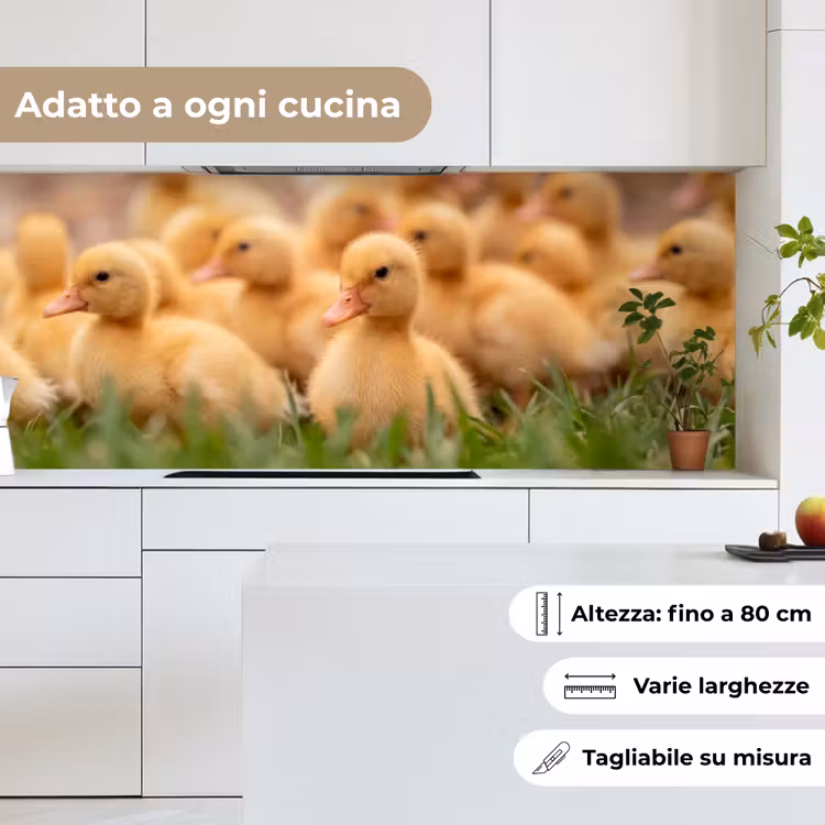 Schienale cucina - Freccia - Anatra - Natura - Giallo — 7