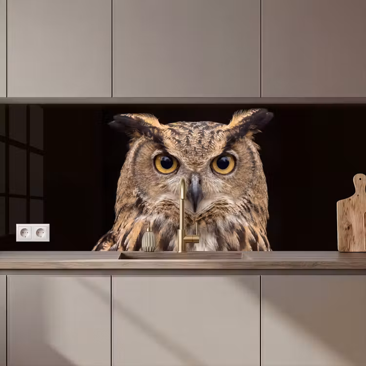 Schienale cucina - Gufo reale - Ritratto - Marrone — 1
