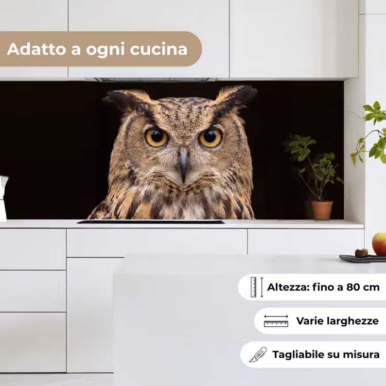 Schienale cucina - Gufo reale - Ritratto - Marrone — 7
