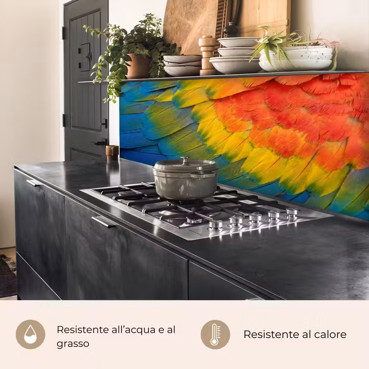 Schienale cucina - Piume - Ara - Colorate — 5