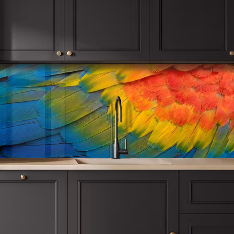 Schienale cucina - Piume - Ara - Colorate — 6