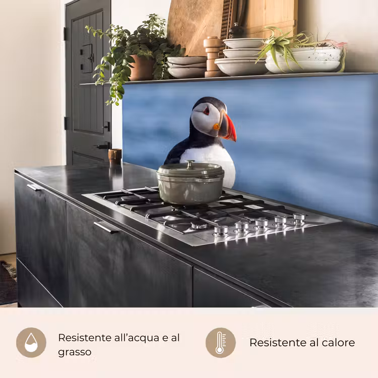 Schienale cucina - Pulcinella di mare - Ritratto - Natura — 5
