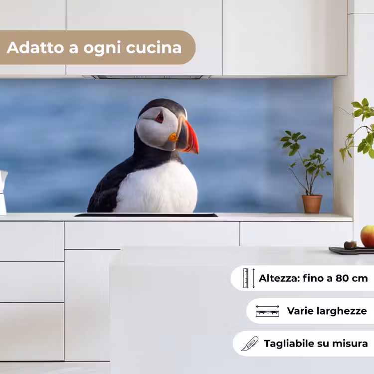 Schienale cucina - Pulcinella di mare - Ritratto - Natura — 7
