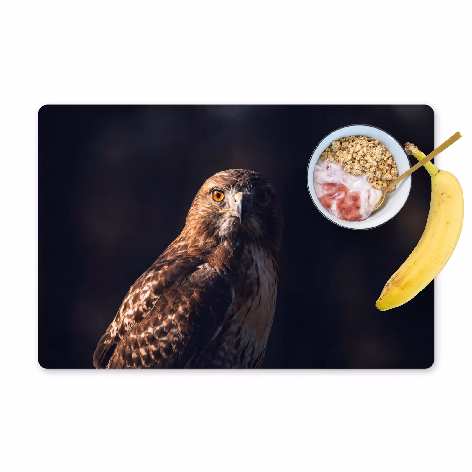 Tovaglietta – 6 pezzi - Uccello rapace - Poiana - Marrone — 1