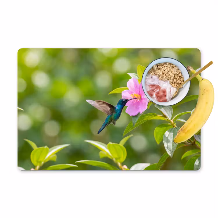 Tovaglietta – 6 pezzi - Colibrì - Fiore - Natura - Verde — 1